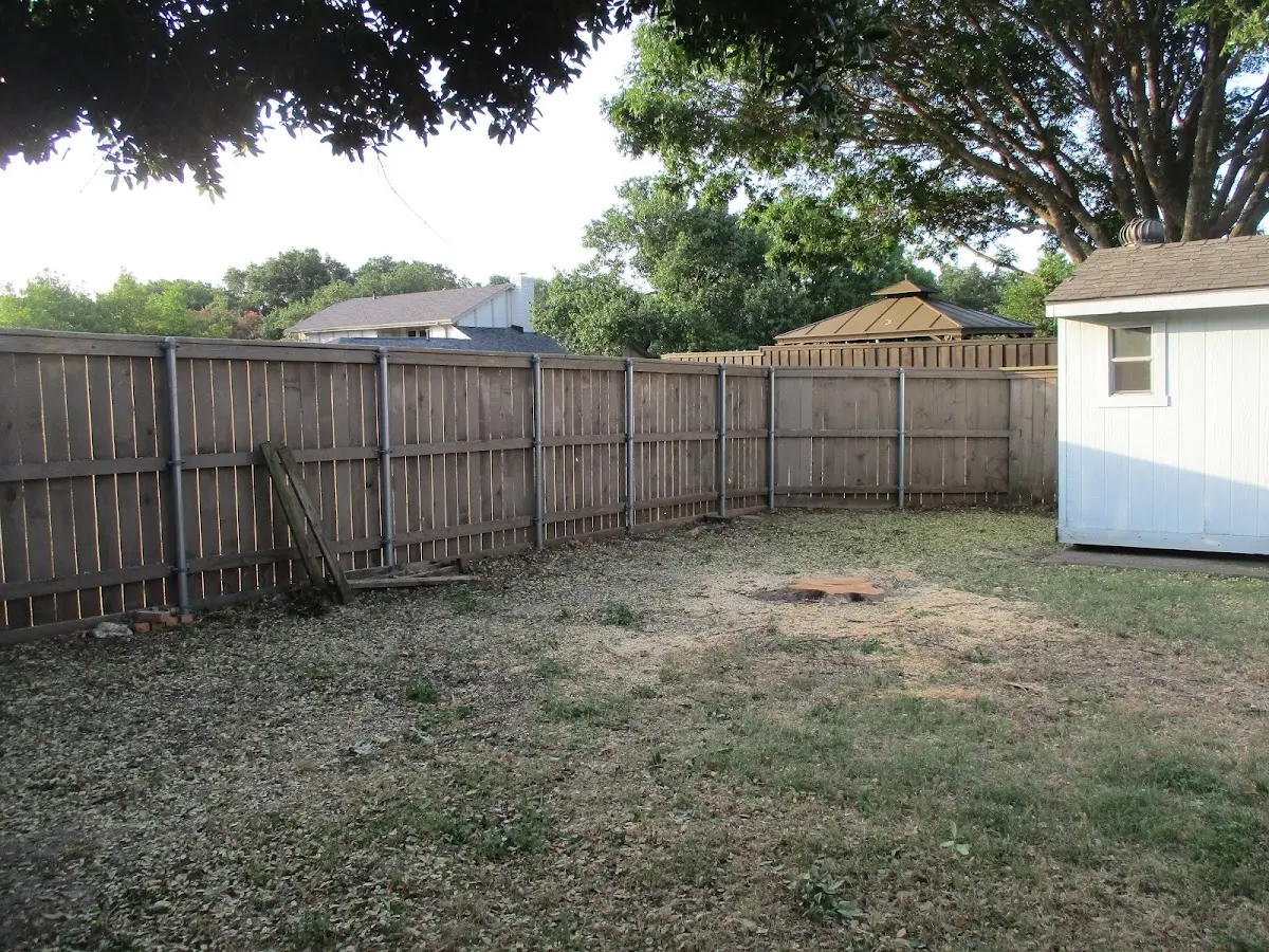 Cleared yard after professional tree removal in Henderson